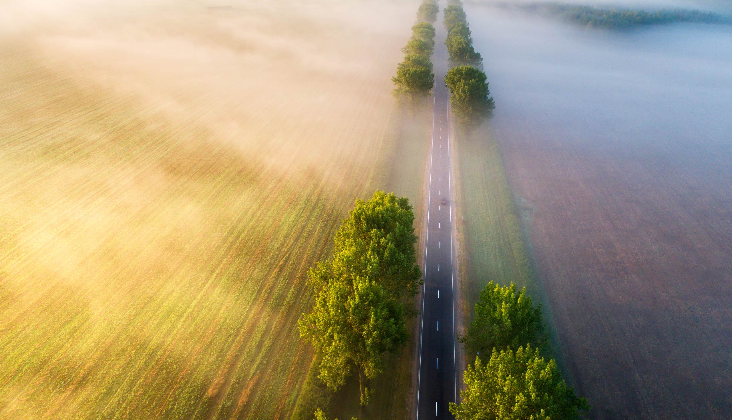 A clear path to a better future