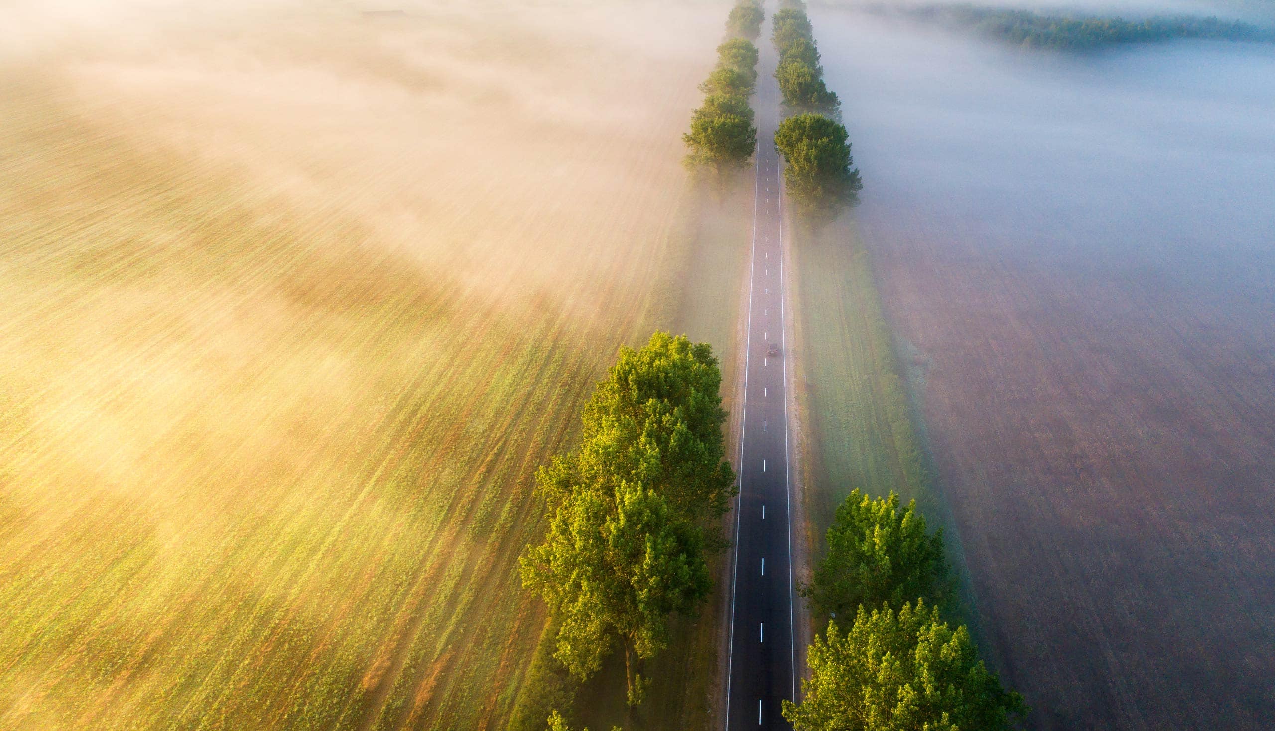 A clear path to a better future